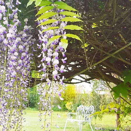 Vakantiehuis Cosy Pres Du Mans Avec Jardin, Piscine Et Parking, Ideal Pour 4 Pers. - Fr-1-410-388 Changé