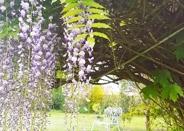 Casa vacanze Cosy Près Du Mans Avec Jardin, Piscine Et Parking, Idéal Pour 4 Pers. - Fr-1-410-388 Changé